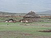 DSCN0492.JPG
