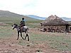 DSCN0493.JPG