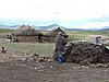 DSCN0504.JPG