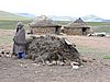 DSCN0505.JPG