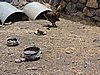 DSCN0507.JPG