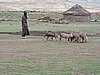 DSCN0509.JPG