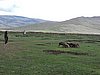 DSCN0510.JPG