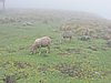 DSCN0531.JPG