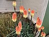DSCN0532.JPG
