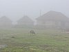 DSCN0534.JPG