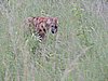 DSCN0542.JPG