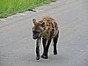 DSCN0546.JPG