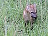 DSCN0550.JPG
