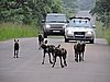 DSCN0553.JPG