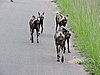 DSCN0554.JPG