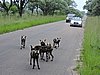 DSCN0555.JPG