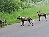 DSCN0556.JPG