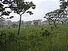 DSCN0559.JPG