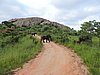 DSCN0563.JPG