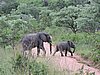 DSCN0566.JPG