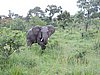 DSCN0567.JPG
