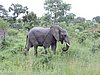 DSCN0568.JPG