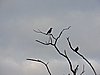 DSCN0569.JPG