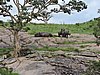 DSCN0576.JPG