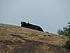 DSCN0583.JPG