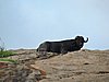 DSCN0586.JPG