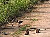 DSCN0588.JPG