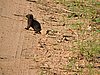DSCN0589.JPG