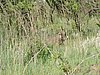 DSCN0590.JPG