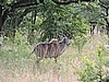 DSCN0598.JPG