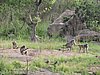 DSCN0600.JPG