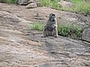 DSCN0601.JPG
