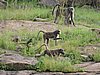 DSCN0602.JPG