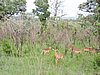 DSCN0603.JPG