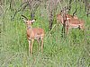 DSCN0604.JPG