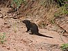 DSCN0607.JPG