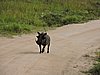 DSCN0609.JPG