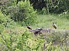 DSCN0611.JPG