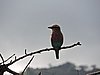 DSCN0612.JPG