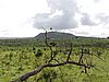 DSCN0614.JPG