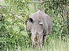 DSCN0617.JPG