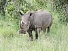 DSCN0618.JPG
