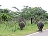 DSCN0623.JPG
