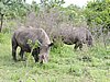 DSCN0628.JPG