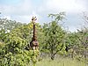 DSCN0634.JPG