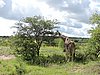 DSCN0638.JPG