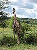 DSCN0639.JPG