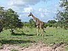 DSCN0642.JPG