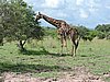 DSCN0643.JPG