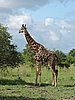 DSCN0645.JPG